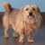 Michelle Kozak's profile image
