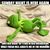 Richard Schneider's profile image