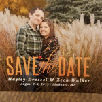 Kathy Dressel's profile image
