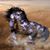 Deanna Wildman's profile image