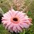 Maggie Stone's profile image