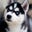 *Hank Moody*'s profile image