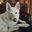 Jayna's profile image