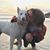 Alisha Joy Cratty's profile image