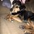Jackie Berbrick's profile image