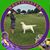 Theresa Rose Reggiano's profile image