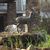 Grace Batista del Castillo's profile image
