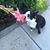 Carol B Wright's profile image