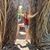 Christine Stiely's profile image
