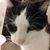 Carol Hopp's profile image