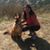 Adriana Frias's profile image