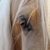 Maryjane Hollis's profile image