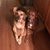 Rene Verdone-Trafaconda's profile image