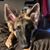 Darrin Clegg's profile image