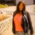 Sandi Bilbrey's profile image