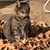 Lori Knauss Weitz's profile image