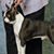 Elaine Fowler Mauldin's profile image
