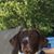 Cheryl Noack Leach's profile image