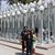 Nelly Tolentino Yaneza's profile image