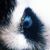 Reinhard Odendaal's profile image