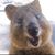 Jim Stennett's profile image