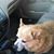 Kathy Ann Smith's profile image