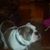 Darryl Bosserman's profile image