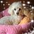 Roseanna Renaud's profile image