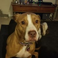 Artgen Lingan's profile image