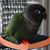 Denise Fischer's profile image
