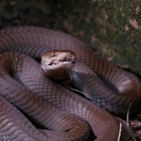 Abdi Osman's profile image