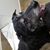 Bruce Bohler's profile image
