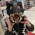 Bryant Popp's profile image