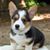 Gwenda Sterle's profile image