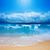 Lori Plaster's profile image