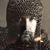 Phillip McNamee's profile image