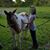Douglas Schwaab's profile image