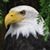 Cindy Edgar's profile image