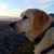 Laurel Burk Sherman's profile image