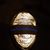 Shann Fenton-loden's profile image
