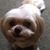 Gigi Stephens's profile image