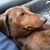 Laurence Lance's profile image