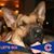Tricia James's profile image