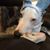 Kathy Siegrist's profile image
