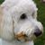 Becky Higham's profile image