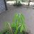 Loganathan Palani's profile image
