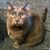 Kimberly Yacoub's profile image