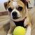 Lucy Stetson's profile image