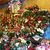 Isamar Soto Flores's profile image