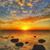 Annmarie Somers-Rivera's profile image